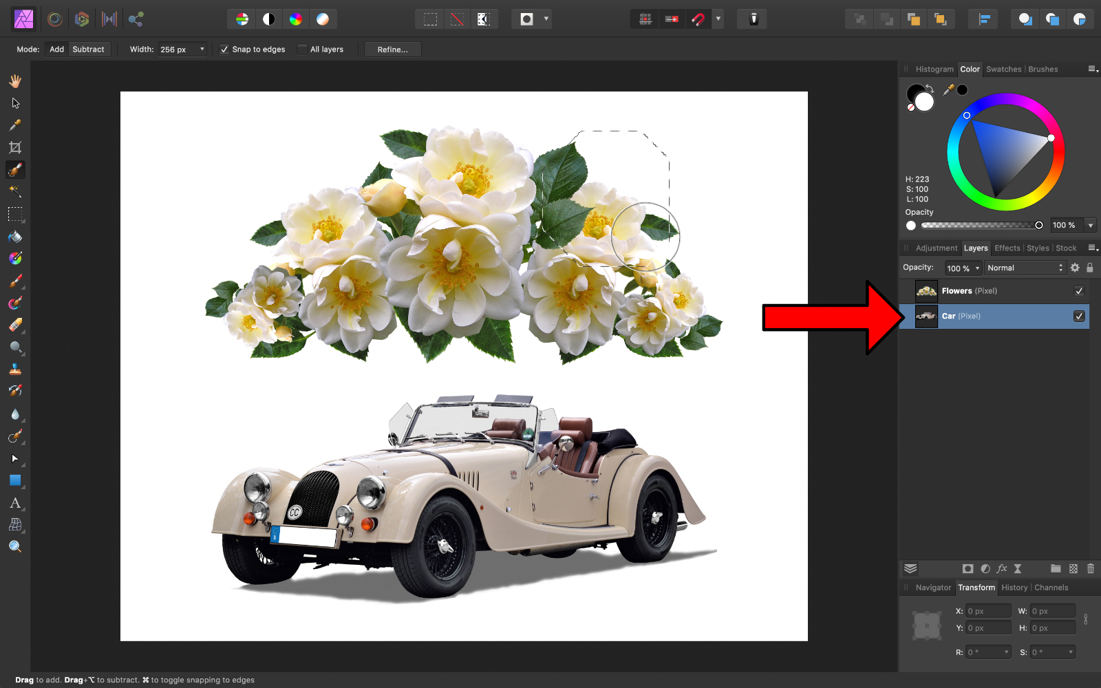 Car layer selected, try selecting flowers